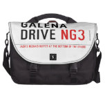 galena drive  Laptop Bags