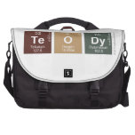 teody  Laptop Bags