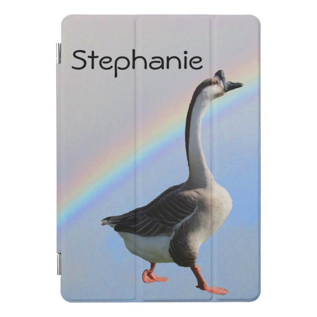 LapTop Case - Goose and Rainbow (Front)