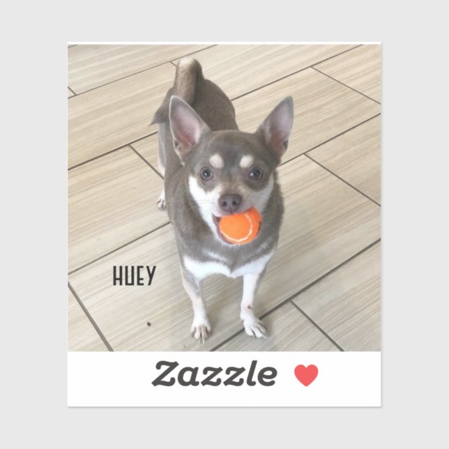 Laptop Huey Sticker (Sheet)