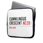 Cunnilingus  crescent  Laptop/netbook Sleeves Laptop Sleeves