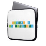 Salvemos a 
 los elementos  Laptop/netbook Sleeves Laptop Sleeves