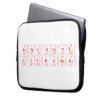 intelligent
 entourage   Laptop/netbook Sleeves Laptop Sleeves