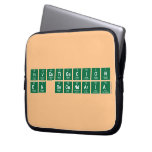 Investigacion
 en Secundaria  Laptop/netbook Sleeves Laptop Sleeves