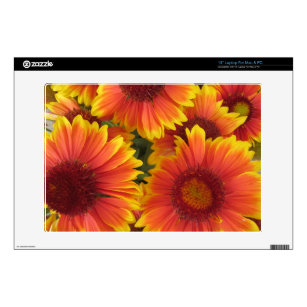 bright yellow flower laptop