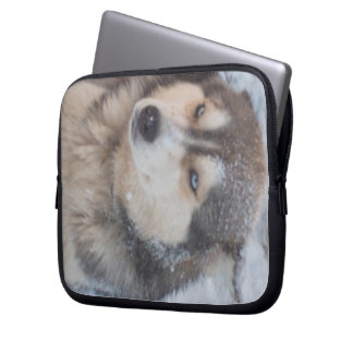Laptop Sleeve Husky