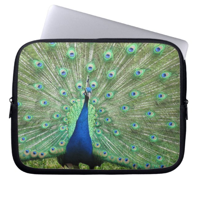 Laptop Sleeve - Peacock (Front)