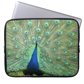 Laptop Sleeve - Peacock