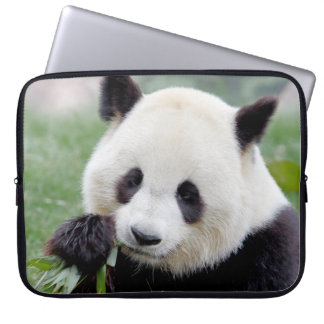 laptop sleeve Photo giant panda , animals.