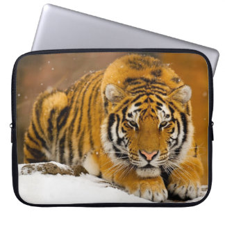 Laptop sleeve with tiger