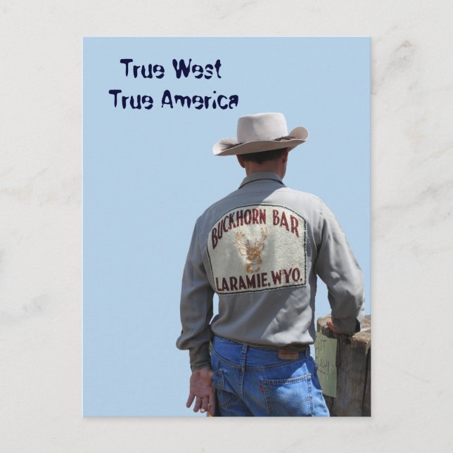 Laramie Wyoming Cowboy Postcard (Front)
