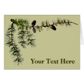 Larch Branch (Front Horizontal)