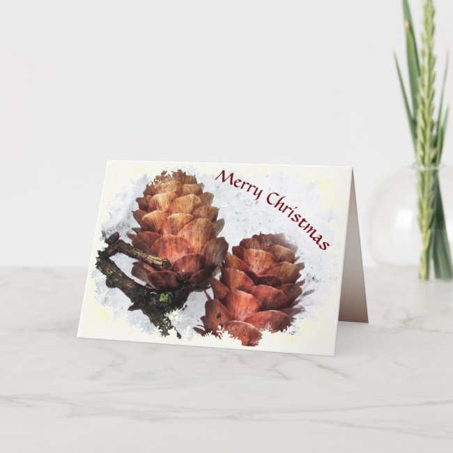 Larch Cones in Snow Christmas Card