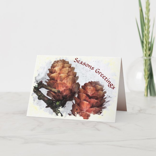 Larch Cones in Snow Seasons Greetings Card