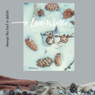 Larch cones on the fresh blue snow poster