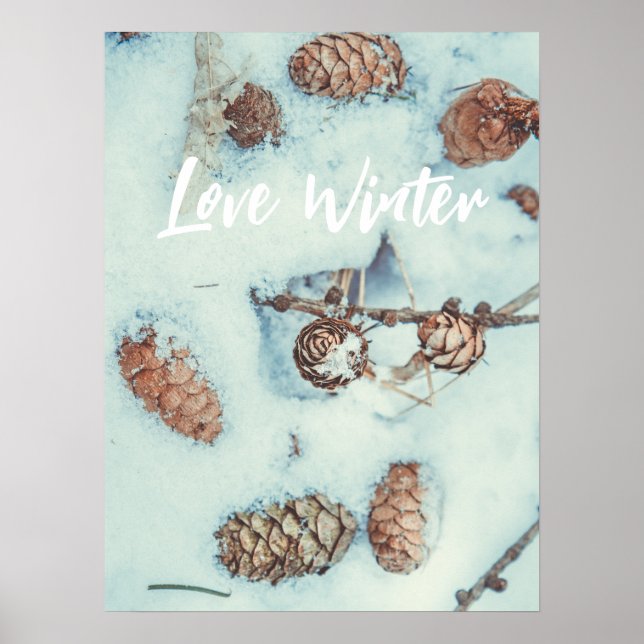 Larch cones on the fresh blue snow poster (Front)