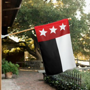 Laredo (Texas) City flag