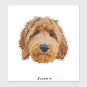 Large 20.3 x 20.3 cm Custom-Cut Vinyl Stickers