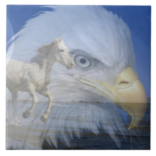 Large (6" X 6") Ceramic Photo Tile