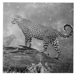 Large (6" X 6") Ceramic Photo Tile