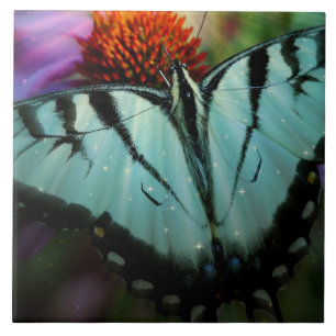 Large (6" X 6") Ceramic Photo Tile/Butterfly Tile