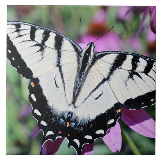Large (6" X 6") Ceramic Photo Tile/Butterfly Tile (Front)