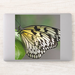 Large 8" x 8" Custom-Cut Vinyl Stickers