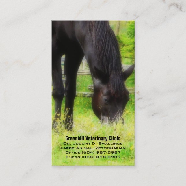 Large Animal (Horse) Veterinarian Business Clinic Card (Front)