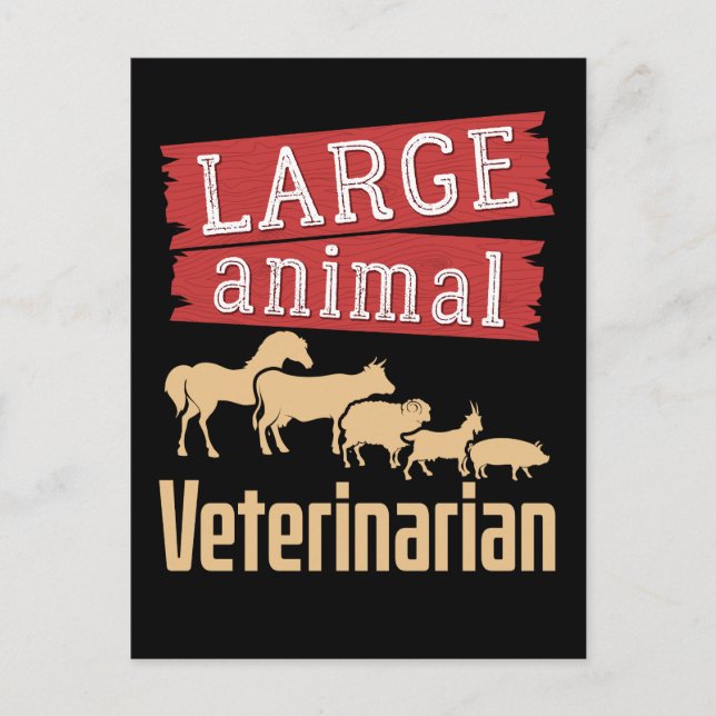 Large Animal Veterinarian Livestock Vet  Postcard (Front)