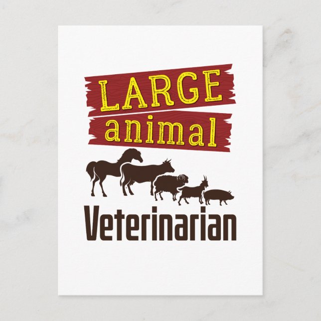Large Animal Veterinarian Postcard (Front)