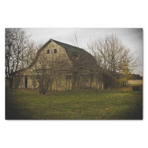 Large Bare Barn Surrounded by Large Bare Trees Tissue Paper