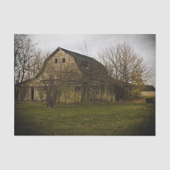 Large Bare Barn Surrounded by Large Bare Trees Tissue Paper (Front)