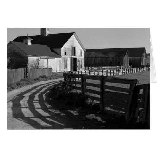 Large Barn and Road, March 1966 Cards (Front Horizontal)