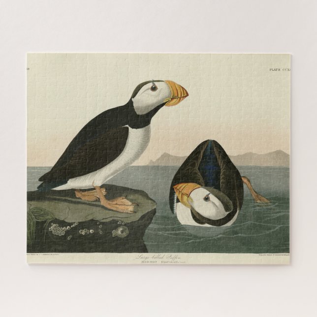 Large billed Puffin - Audubon's Birds of America Jigsaw Puzzle (Horizontal)