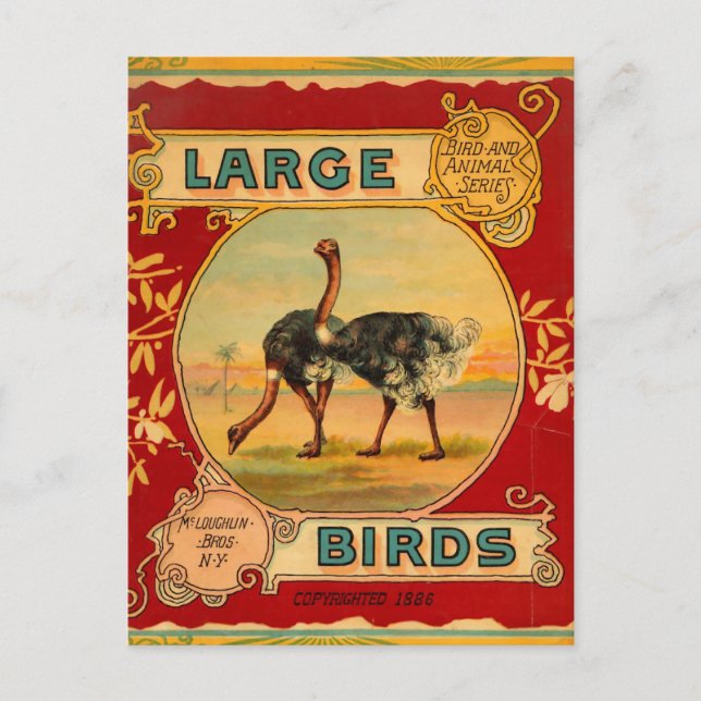 Large Birds Postcard (Front)