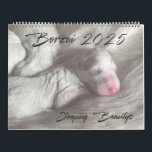 Large Borzoi 2025 Calendar<br><div class="desc">A lovely collection of sleeping Borzoi beautys to enjoy throughout the year!</div>