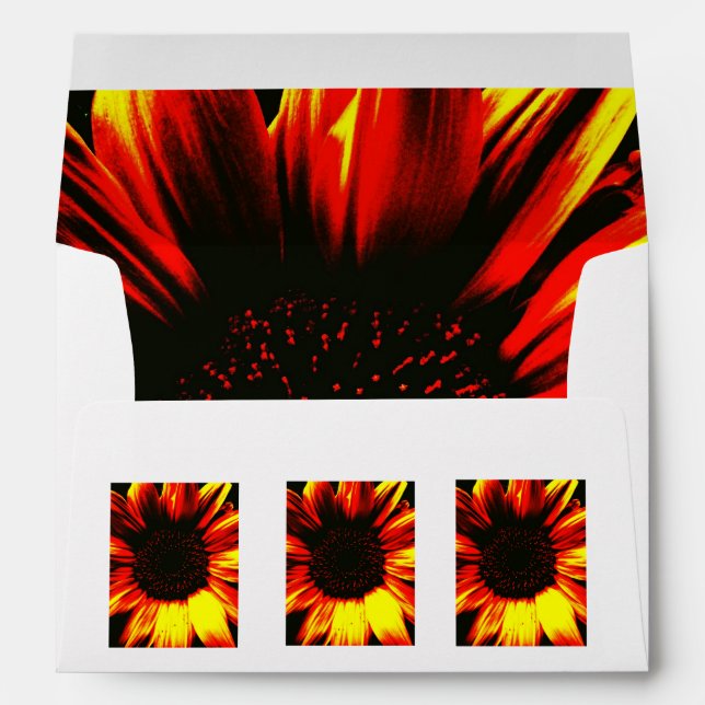 large bright yellow sunflower envelope (Back (Bottom))