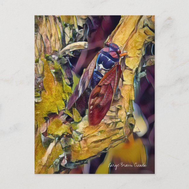 Large Brown Cicada Postcard (Front)