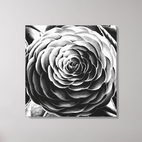 Large Camellia Black White and Gray  Grey Canvas Print