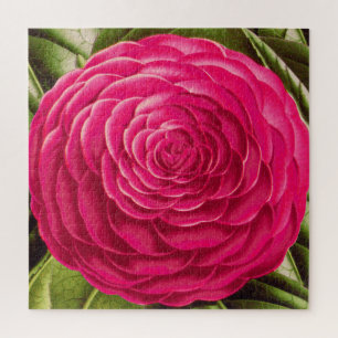 Large Camellia Blossom, Fuchsia Pink Jigsaw Puzzle