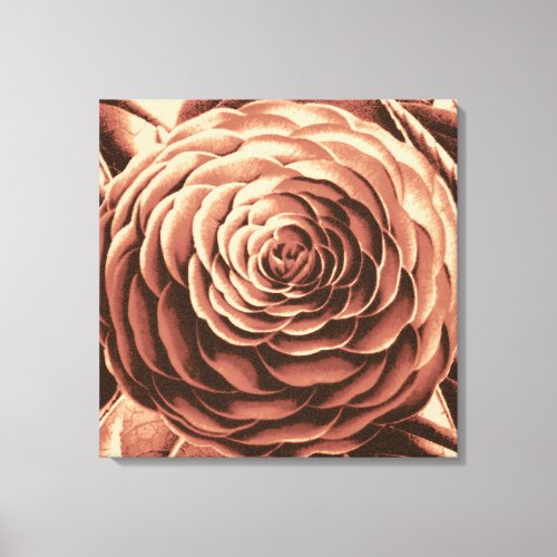 Large Camellia Brown Beige and Sepia Tone Canvas Print