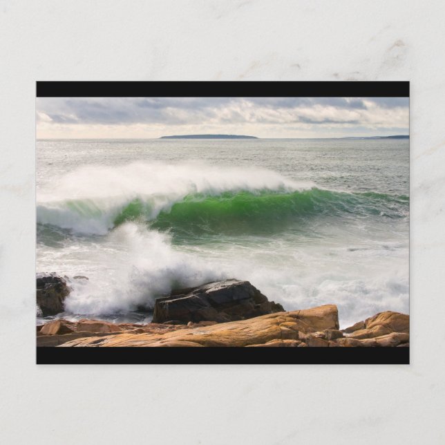 Large Crashing Waves Seascape Acadia National Park Postcard (Front)