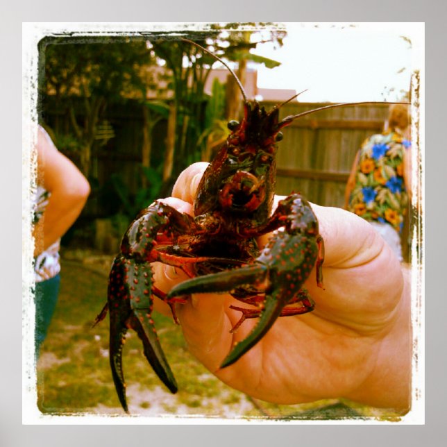 Large Crawfish Photo Poster (Front)