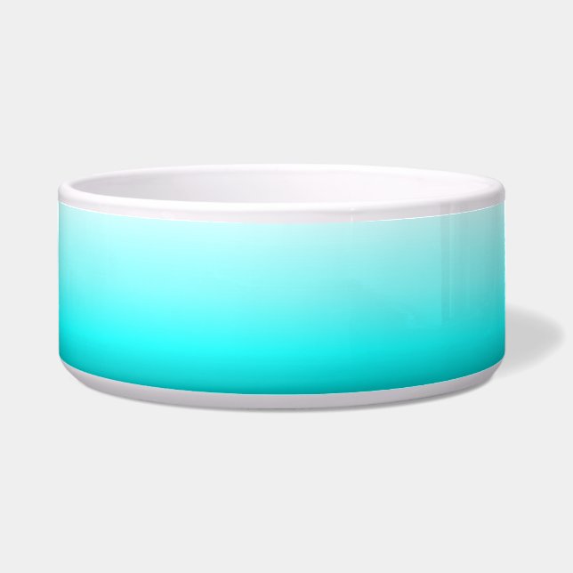 Large Cyan Pet Bowl (Front)