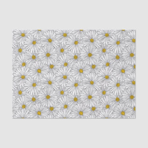 Large Daisy 10lb Tissue Paper, White Tissue Paper