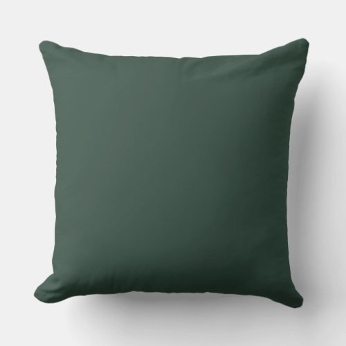  Large Dark Green  Throw Pillow