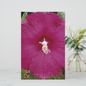 large dark red Hibiscus (Standing Front)
