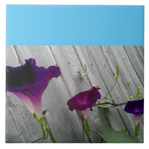 Large, Decorative Ceramic Tile