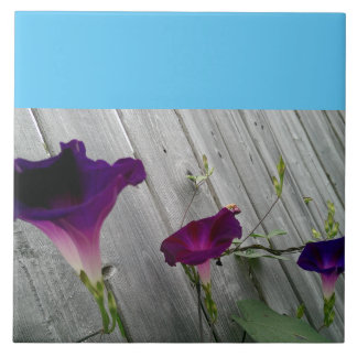 Large, Decorative Ceramic Tile