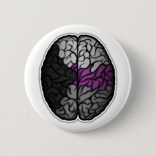 Large Demisexual Pride Flag Colored Brain Vector Pinback Button